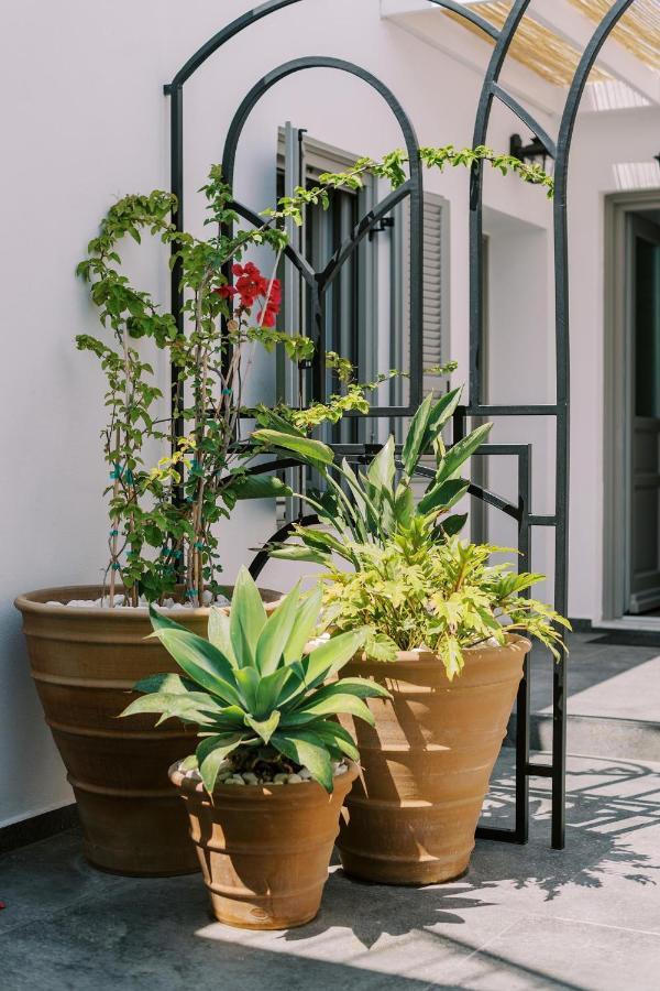 Eurus & Zephyrus Apartments Rhodes City Εξωτερικό φωτογραφία